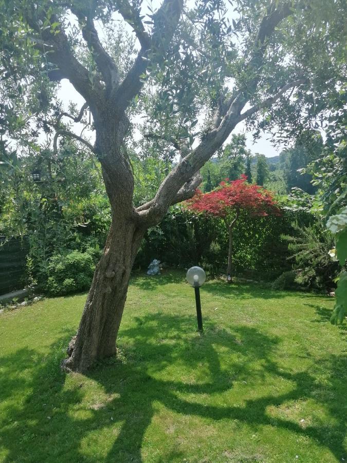 Casa Laghetto Villa Castellaro  Exteriör bild